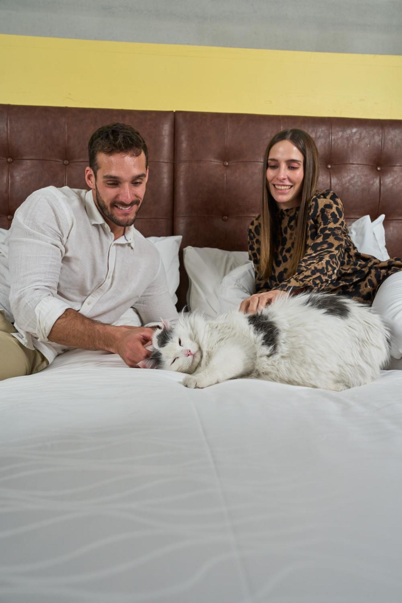 Pullman Santiago El Bosque Hotel Bagian luar foto A cat with its owners